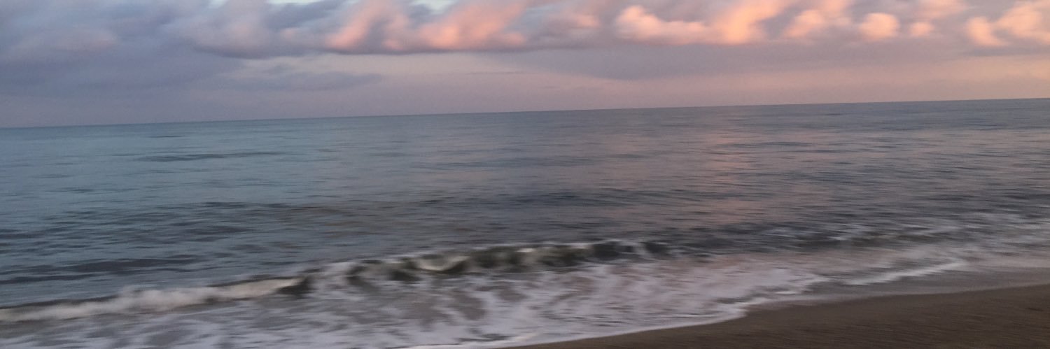 turkanoguzz's profile banner image