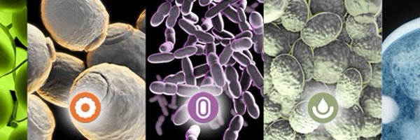 LOenology Profile Banner