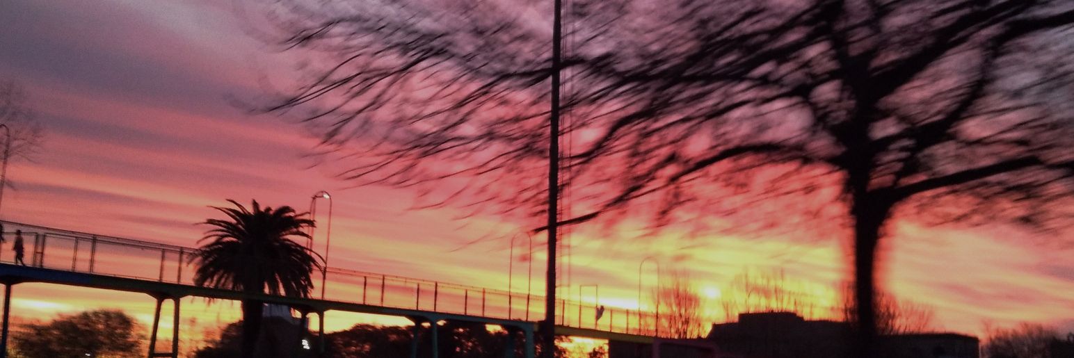 minlu__'s profile banner image
