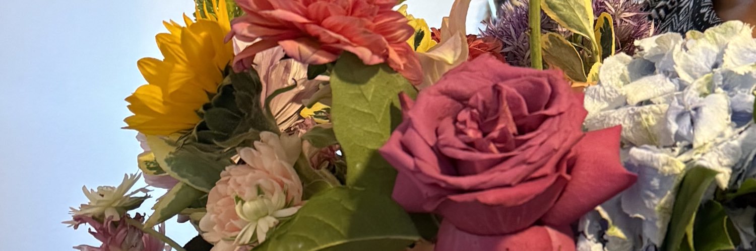Lissa_Mariaa's profile banner image