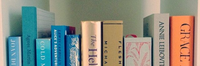 julie goldman banner
