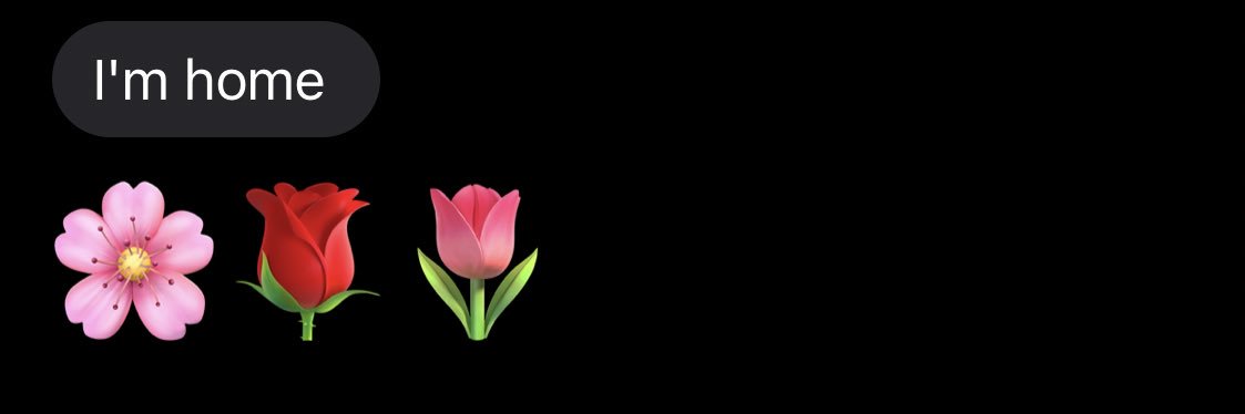 Reynasoarus's profile banner image