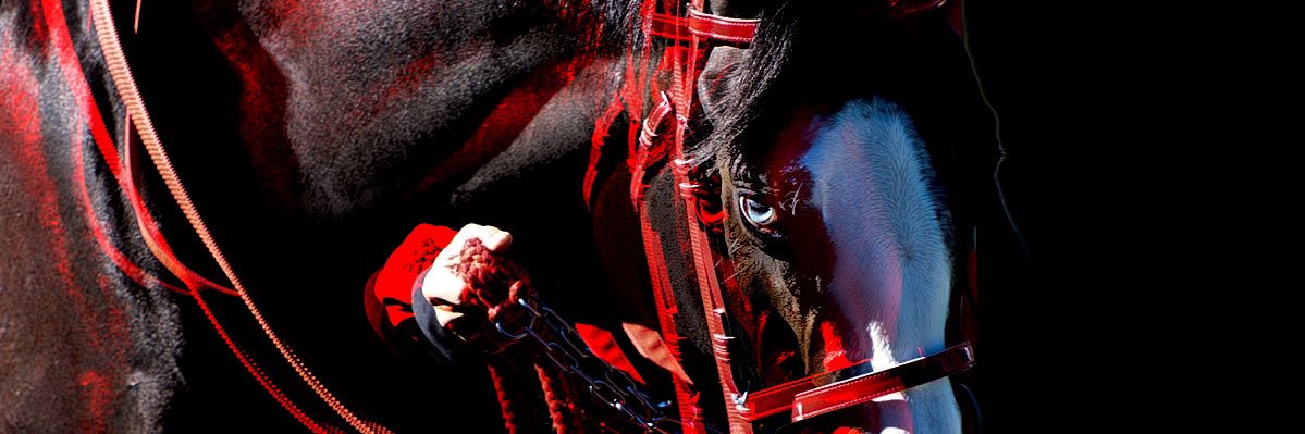 N55842247's profile banner image
