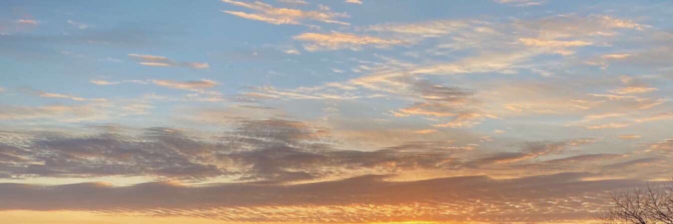 lexigothard's profile banner image
