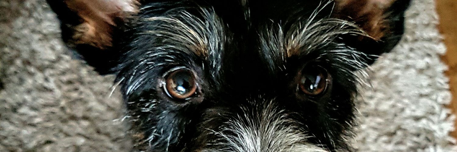 Baklap2's profile banner image