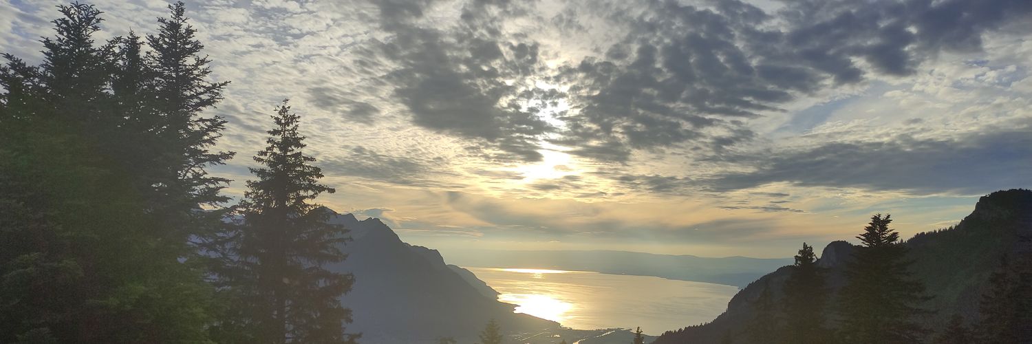 EleanorDuggMatt's profile banner image