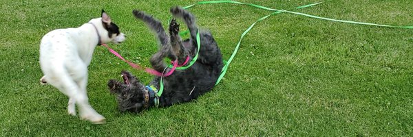 aKINGston_87 Profile Banner