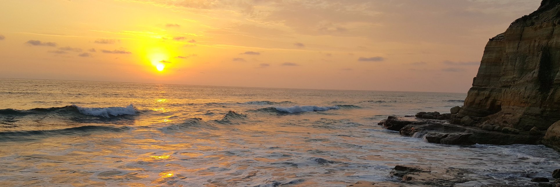 vignesh's profile banner image