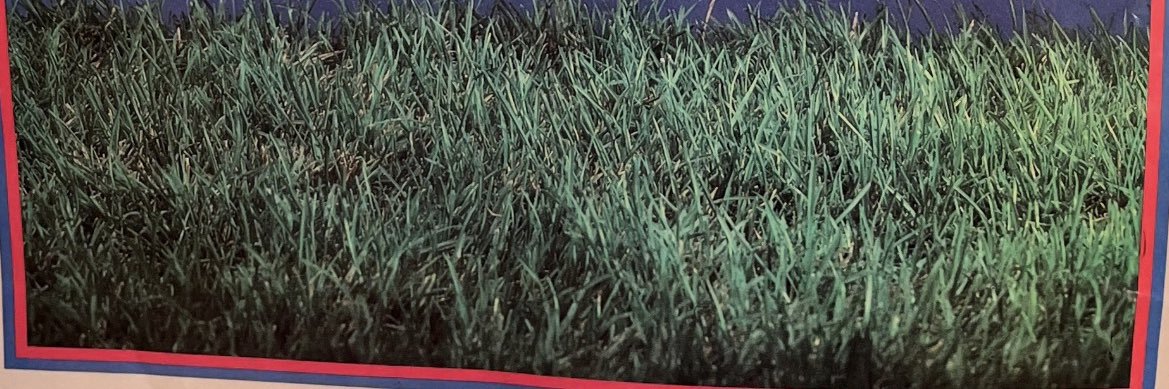 Ash banner