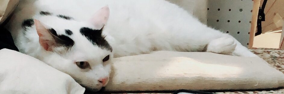 yasdrum's profile banner image