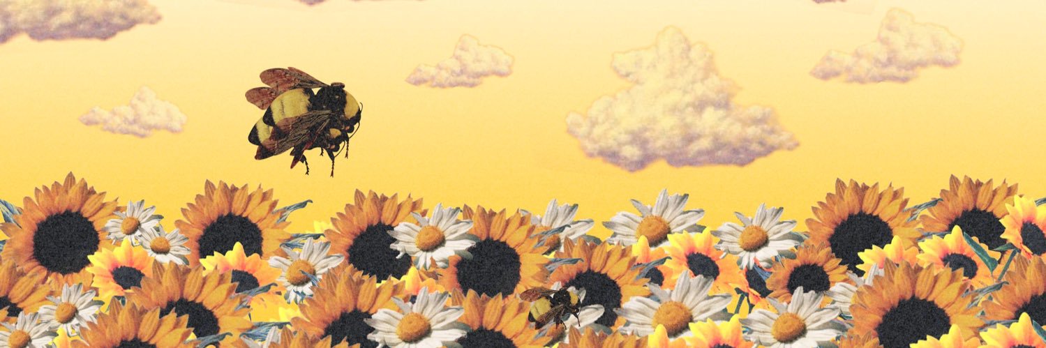 marx_mallow's profile banner image