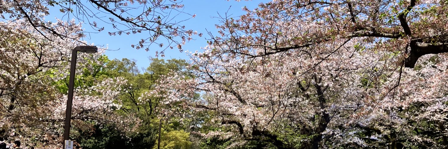 sumire83195641's profile banner image
