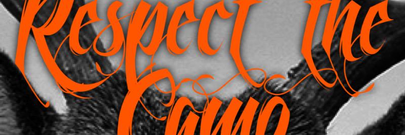 RespecttheCamo's profile banner image