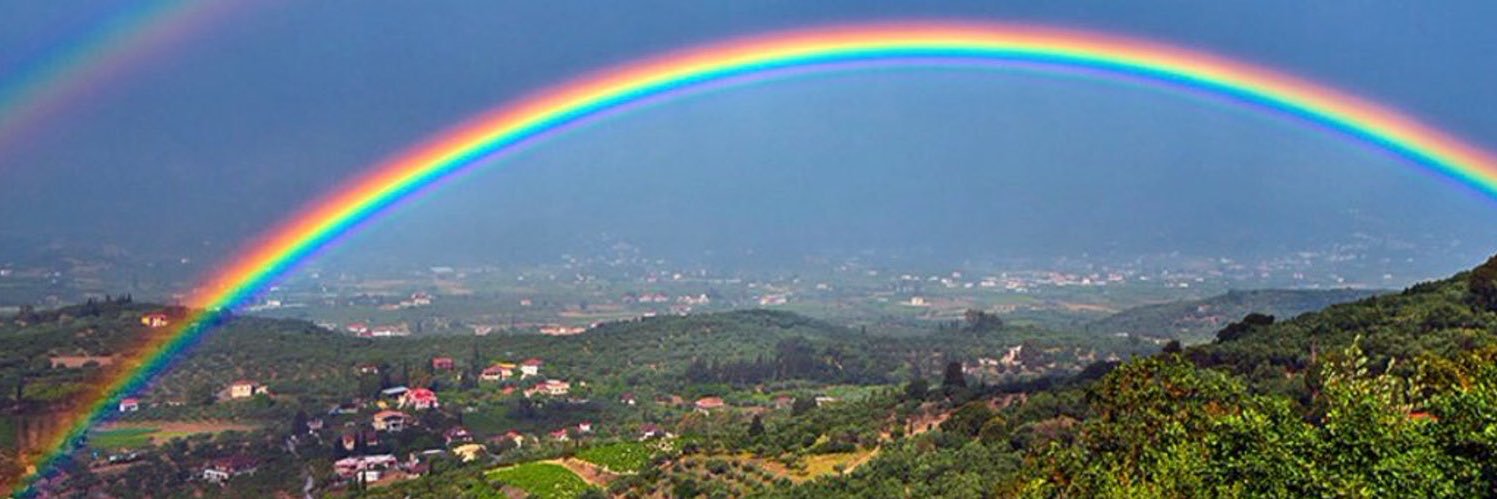 EV 💋🌈 banner