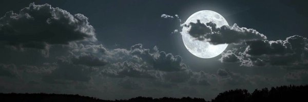 soleiljolina Profile Banner