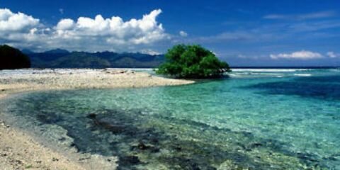 arryandrika's profile banner image