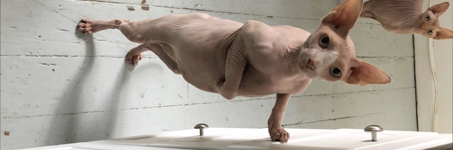 gru2r's profile banner image