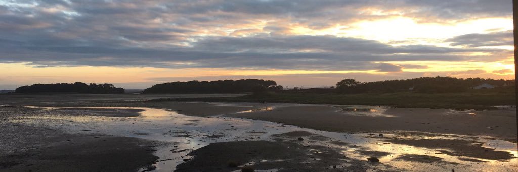 laineybelfast's profile banner image