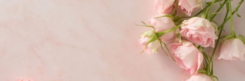 kazumitherapy's profile banner image