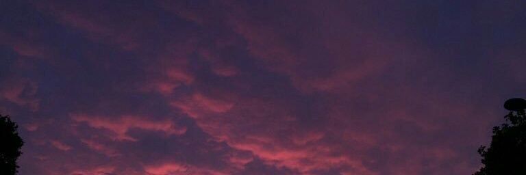 maciel_ferchu's profile banner image
