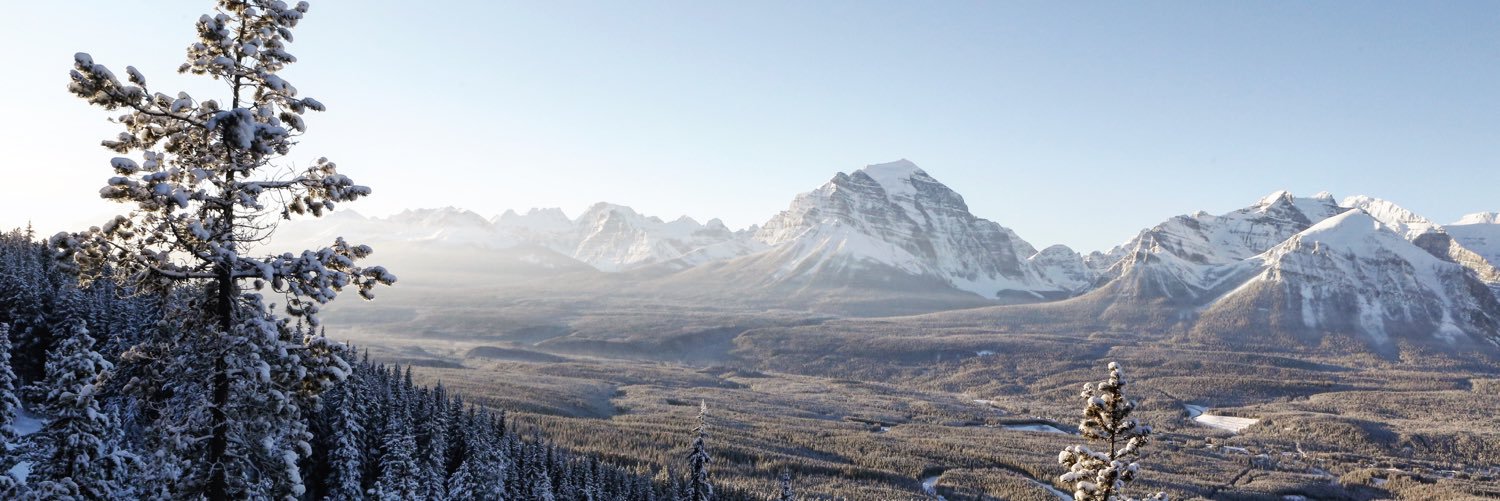 mike_bing's profile banner image