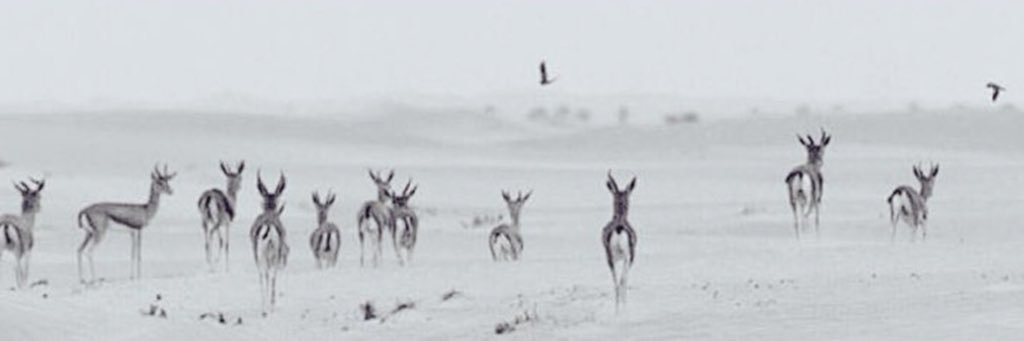 sgt1_'s profile banner image