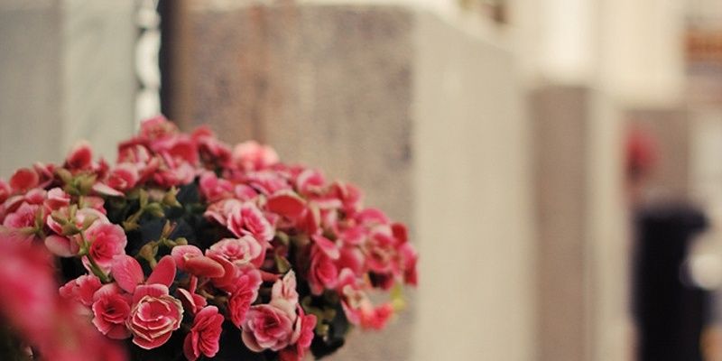 ambarkhan2's profile banner image