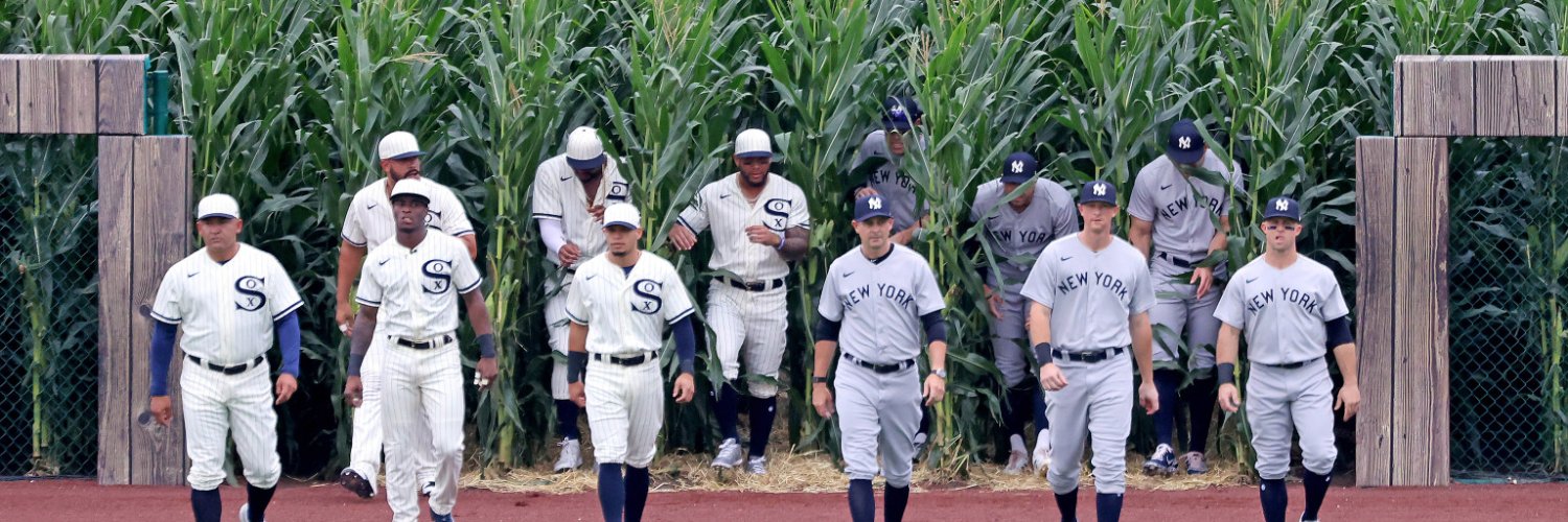 Rachel Rietveld banner