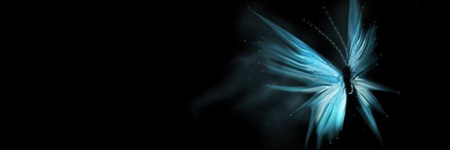 dellacns's profile banner image