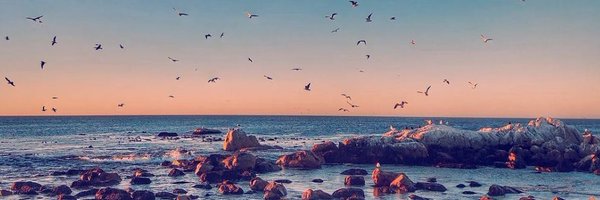 ElBroide Profile Banner