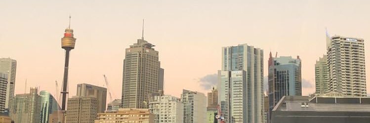 kimchipedia's profile banner image