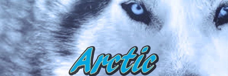 MDArctic's profile banner image
