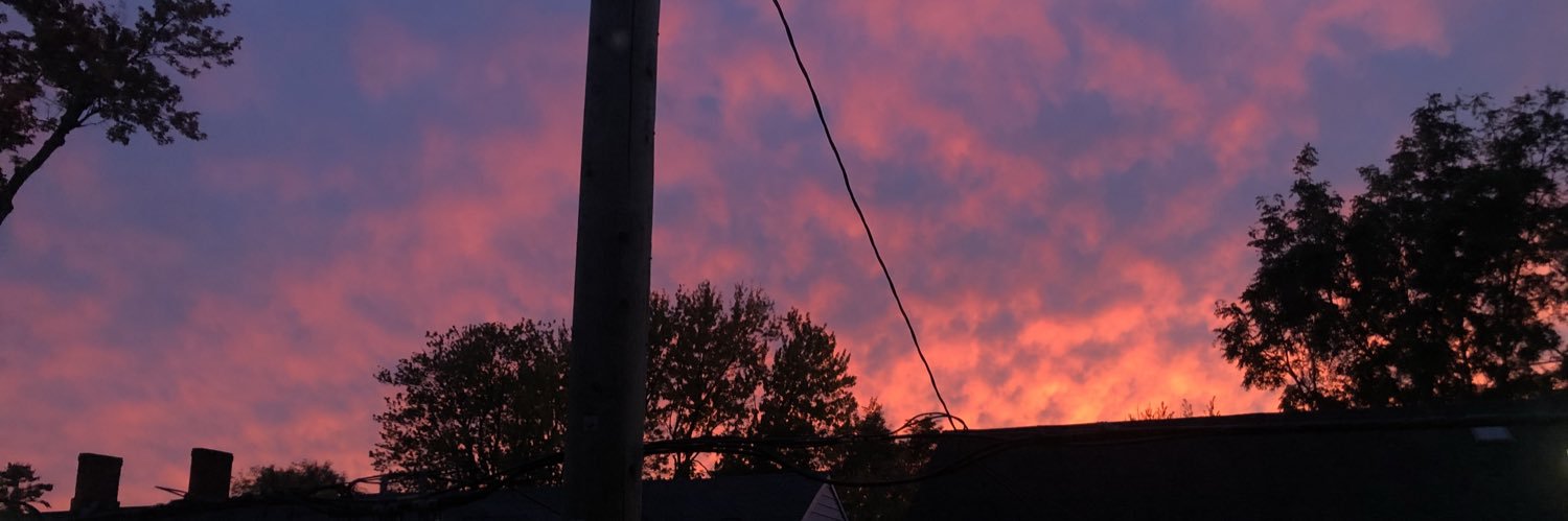 curlysophh's profile banner image