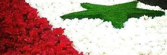 samarab99020156's profile banner image