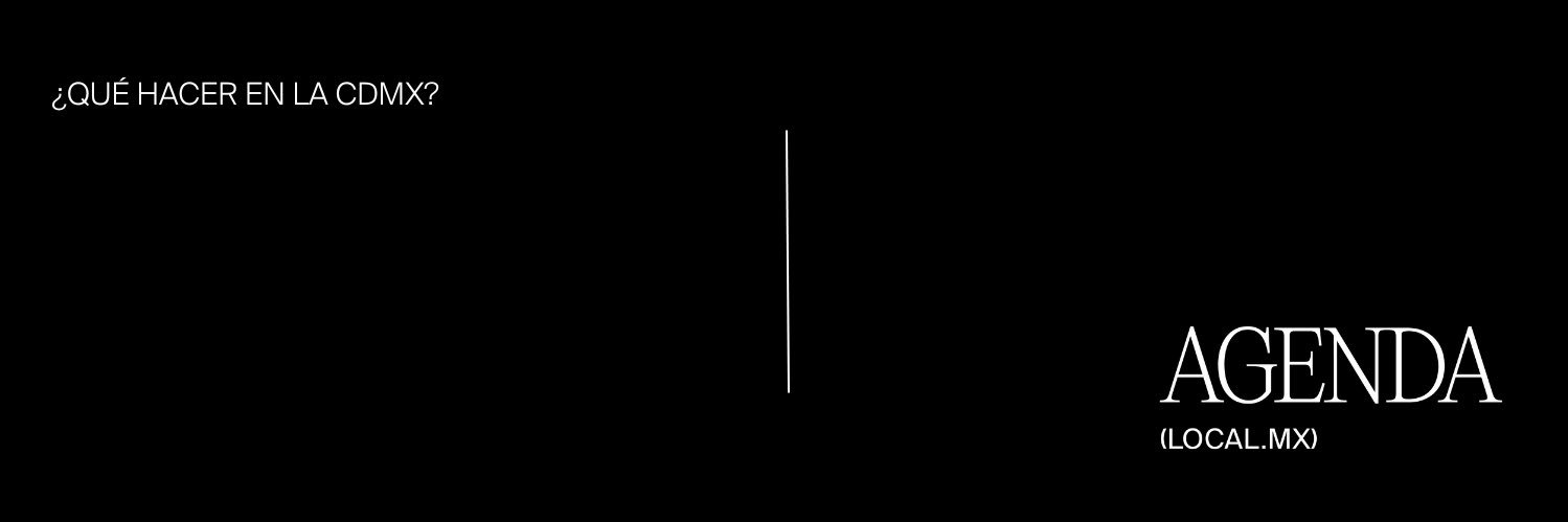 local.mx banner
