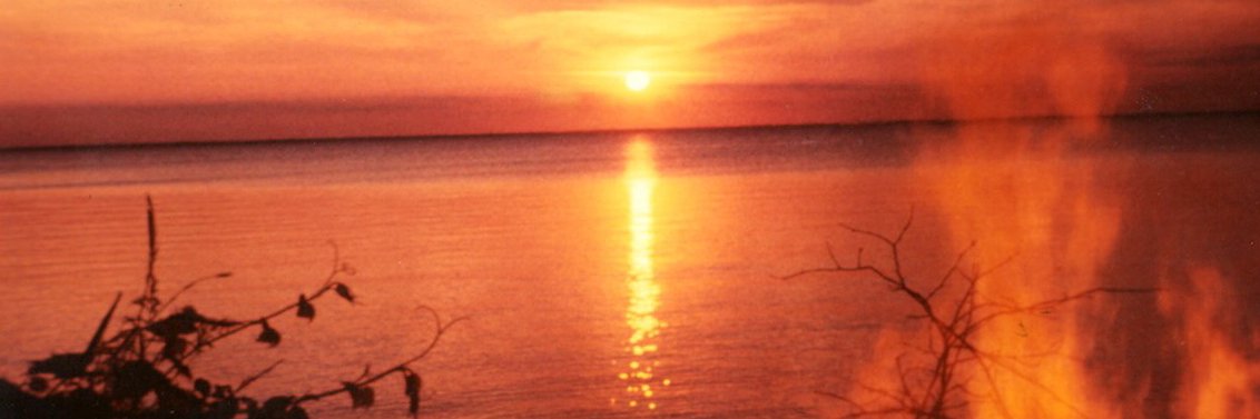 August Neverman banner