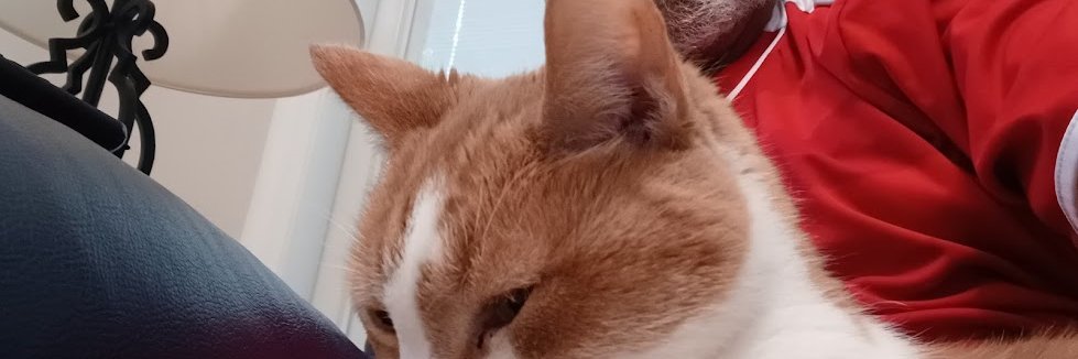 douglasrar's profile banner image