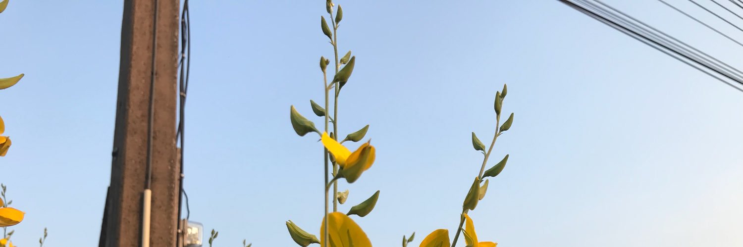 toothfoecept's profile banner image