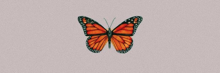 TayaOlson's profile banner image