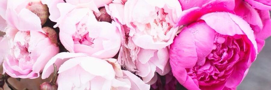 MeganKCullen's profile banner image