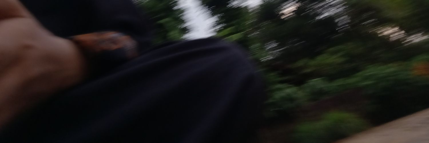 siitist's profile banner image