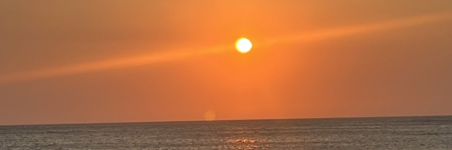 Linisma93's profile banner image