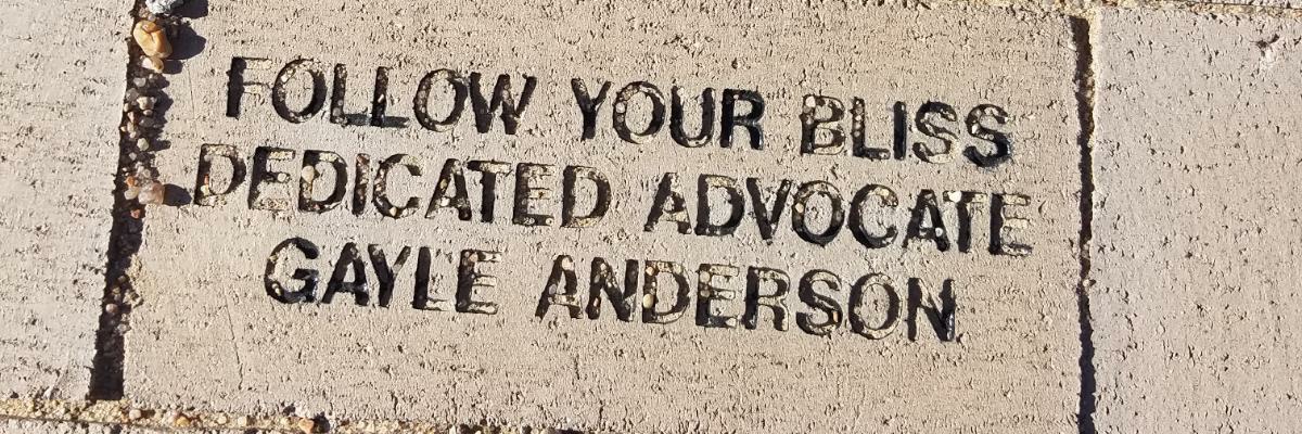 fllwyourbliss's profile banner image