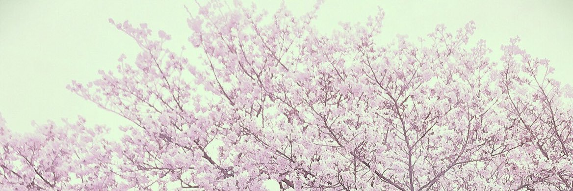 tomoneko1219's profile banner image