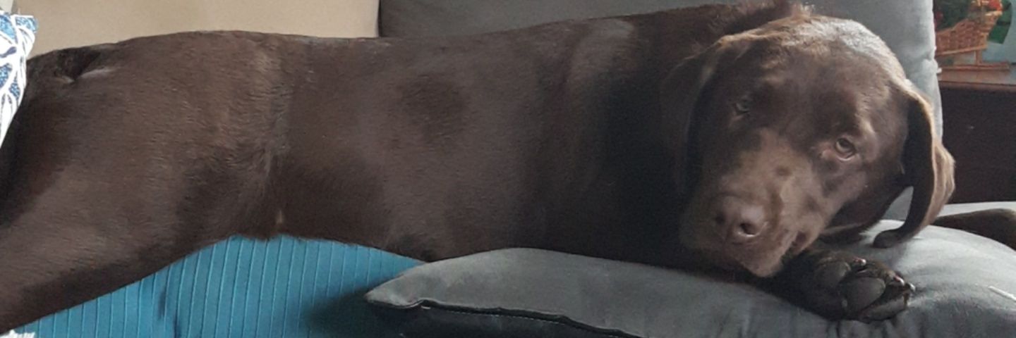 cassidyleja's profile banner image