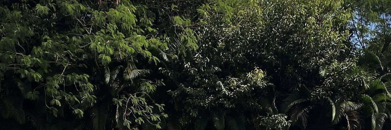 gustavosouza_20's profile banner image