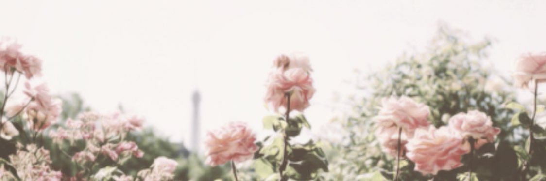 PaytonThib's profile banner image