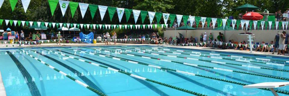 GPFrogsSwim's profile banner image