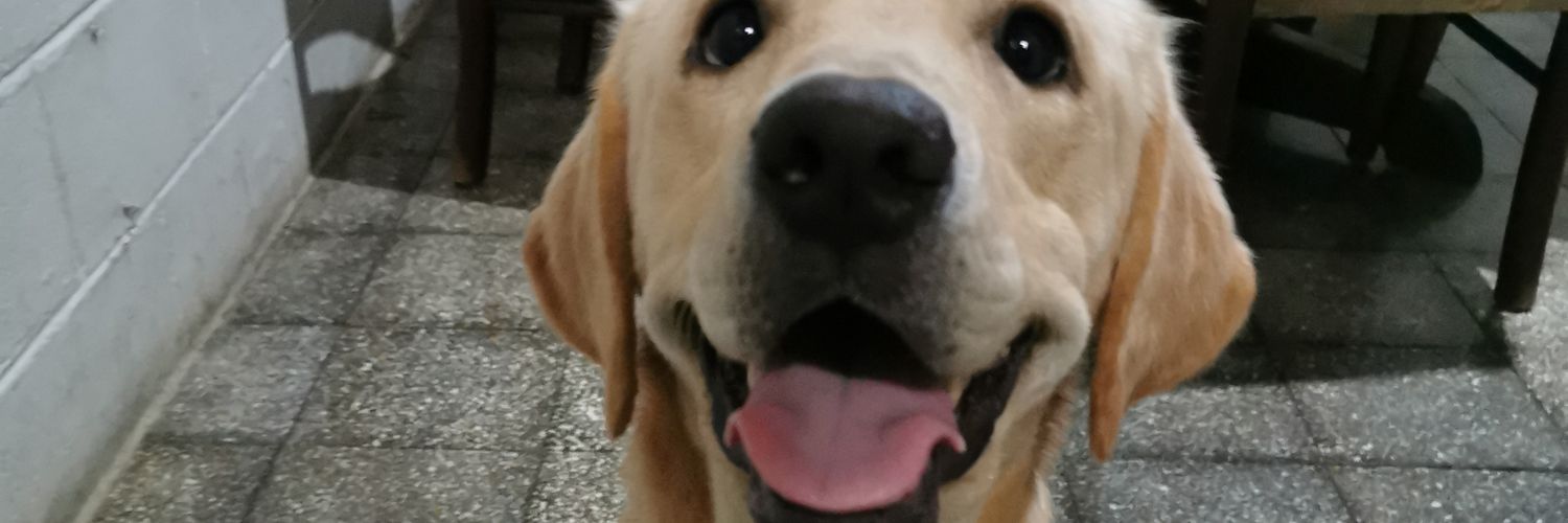 Erickcola94's profile banner image