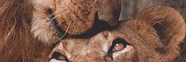 Kyree banner
